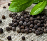 Live All Spice Plant Ð Quart PotÐ Hardy & Well-Rooted for Garden or Patio Garden Plants