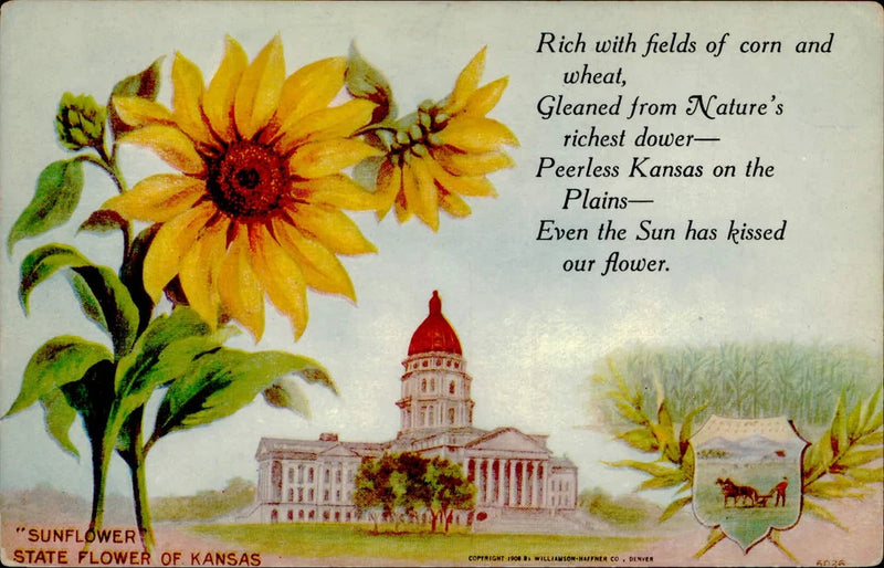Kansas sunflower-themed postcard with floral and state capitol illustration, text on front