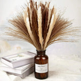 80Pcs Natural Dried Pampas Grass Reed Flower Bunch Xmas Wedding Valentines Gift Pampas Grass