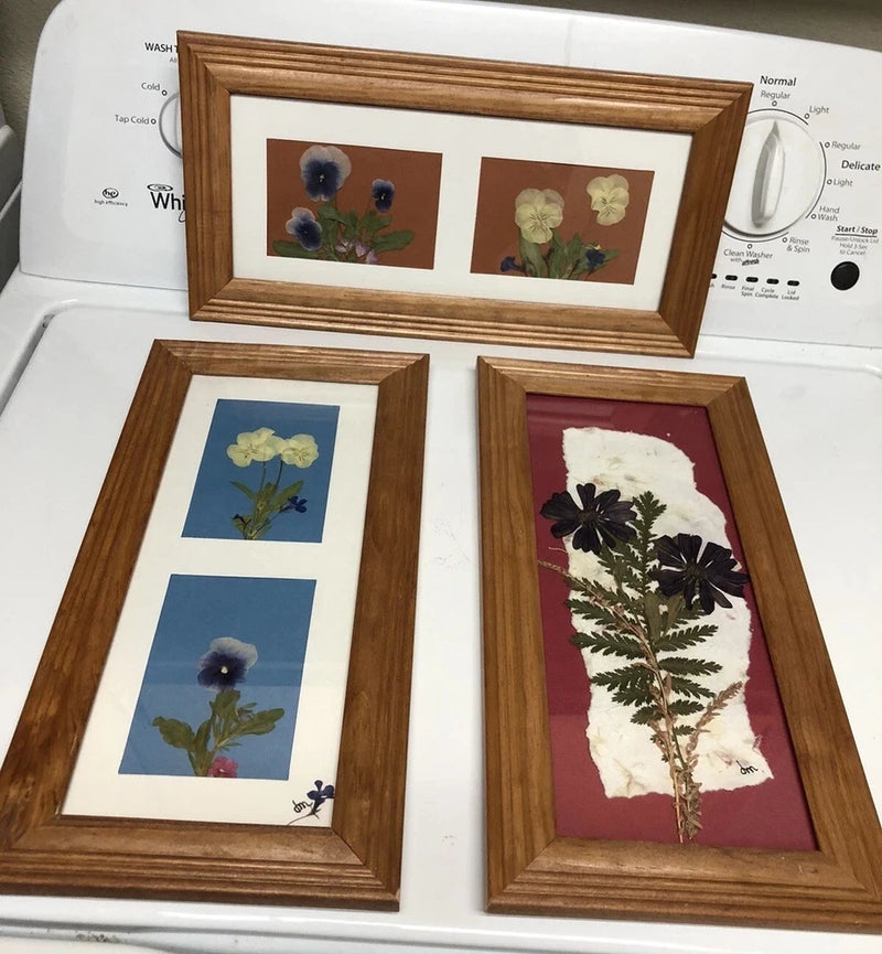 Set of three wooden wall frames with pressed dried flowers and foliage, signed.
