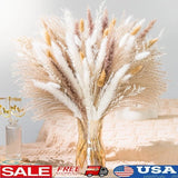 Pampas Grass Dried Decor Centerpieces Wreaths Ideal Home Office Events New Pampas Grass