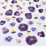 48 Pcs Mix Natural Dried Pressed Flowers for Cake Decorating, Real Dry Flower Dried Flower