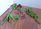 8 Pic Artificial Plants Mix Succulents Plants Green Plant