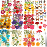 235 Pcs Dried Pressed Flowers for Resin Crafts, DIY Jewelry, Art & Decor Set Hydrangea