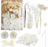 Dried Flowers,Dried Flowers Set for DIY Scrapbook Accessories Multi Color Dried Flower