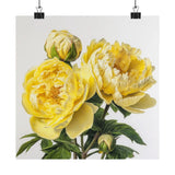 Yellow Peonies Flower Art Print, Yellow Flower Painting, Flower DŽcor 03 Peony
