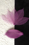 25 Skeleton Leaves Plum see through leaf Lilac Wedding Invitation cards medium Dried Flower