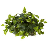 SILK POTHOS LEDGE PLANT ARTIFICIAL FAKE HOME ARRANGEMENT DECOR (SET on FOAM) Green Plant