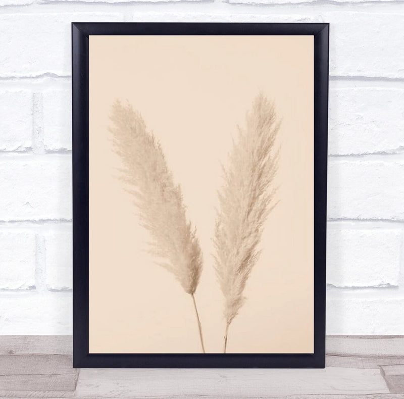 Pampas Grass Beige 01 Dried Botanical Studio Wall Art Print Pampas Grass