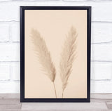 Pampas Grass Beige 01 Dried Botanical Studio Wall Art Print Pampas Grass