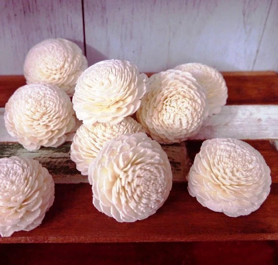 Ivory wood diffuser flower heads, 5 cm layered petals, set of round pieces for decor