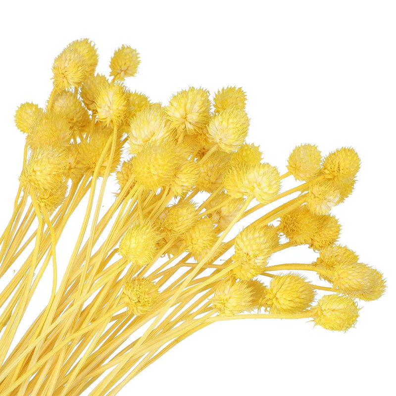 60 Pcs 16 Inch Dried Flowers for Vase Mini Pine Ball Flowers Yellow(Stem) Dried Flower