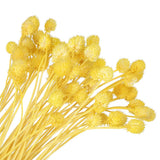 60 Pcs 16 Inch Dried Flowers for Vase Mini Pine Ball Flowers Yellow(Stem) Dried Flower