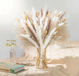 Natural Dried Pampas Grass Decor Pampas Grass