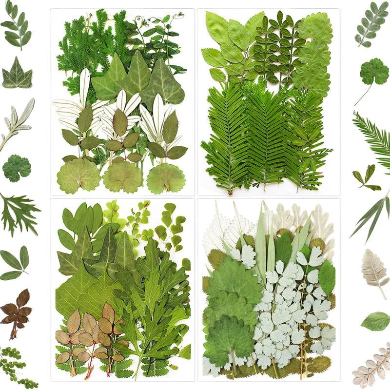 84Pcs Pressed Dried Leaves for Resin Molds, Natural Bulk Dry Flowers Dried Flower