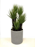 Artificial Spiky Agave succulent Plants, Nearly Natural Faux Plants 17.5*5.5*5.5 Green Plant