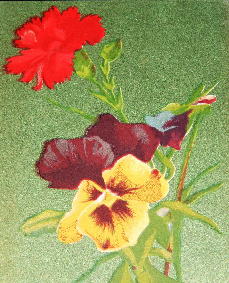 Vintage Postcard, RED CARNATION & YELLOW & PURPLE PANZIES BOUQUET, Flowers Carnation