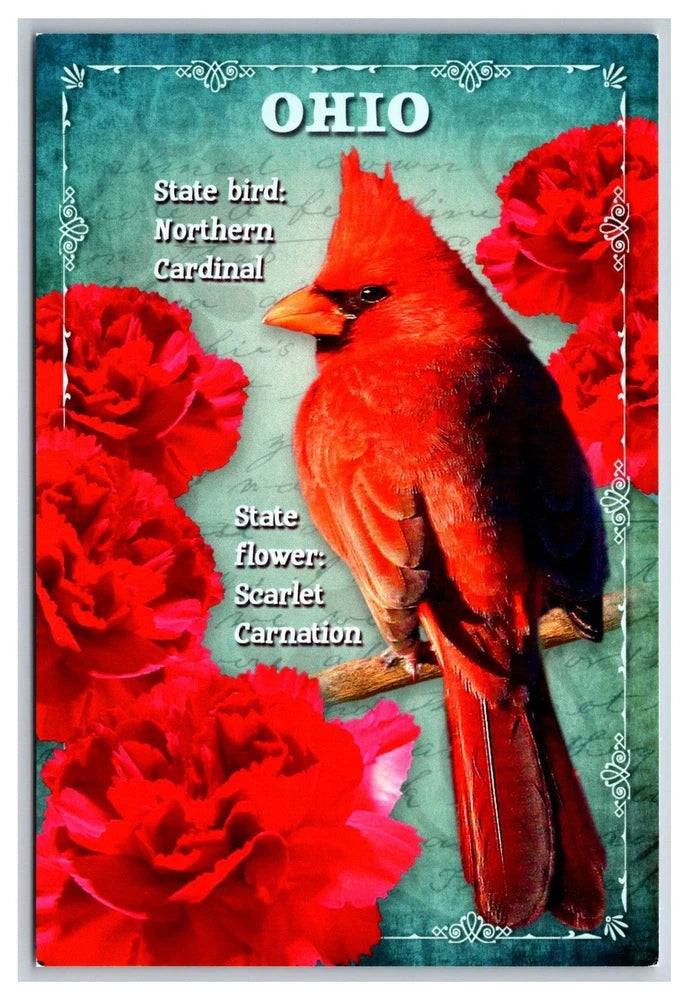 Ohio postcard with red cardinal state bird and scarlet carnation flowers border
