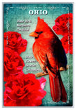 Cardinal Carnation State Bird Flower of Ohio 6x4 Continental Size UNP Postcard Carnation