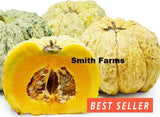 10+ Seeds Prescott Fond Blanc Melon Cantaloupe Easy Fruit Garden Planting Edible Garden Plants