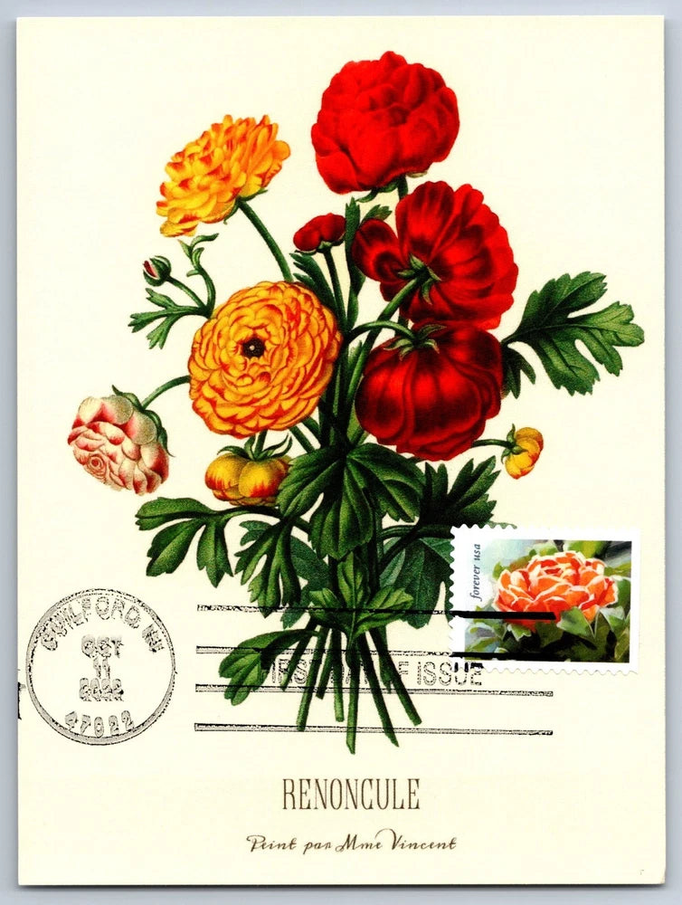 #5736 Snow Beauty Ranunculus FDC Maxi Card Note Cancel Ranunculus