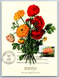 #5736 Snow Beauty Ranunculus FDC Maxi Card Note Cancel Ranunculus