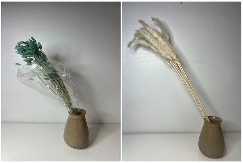 Natural Dried White Pampas Grass and Phalaris Canary Grass Blue Green Turquoise Pampas Grass