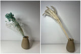 Natural Dried White Pampas Grass and Phalaris Canary Grass Blue Green Turquoise Pampas Grass
