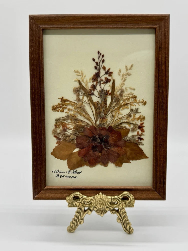 Vintage wooden-framed pressed flower and grass botanical art, dried blossoms