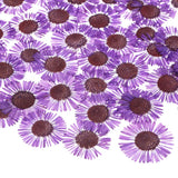 12-Pack Dried Pressed Flowers for Resin, Real Pressed Dry Floral [Dark Purple] Dried Flower