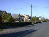 Photo 6x4 Pampas grass on Rampton Road Willingham/TL4070  c2008 Pampas Grass