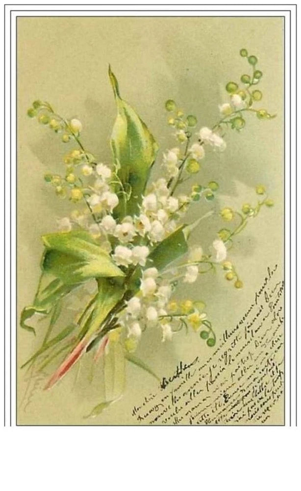 Floral botanical illustration of lily of the valley blossoms with green leaves