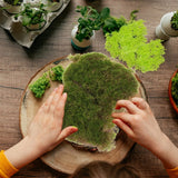 Simulated Moss Ornaments Micro Landscape Turf Scene Mini Garden Artificial Green Plant