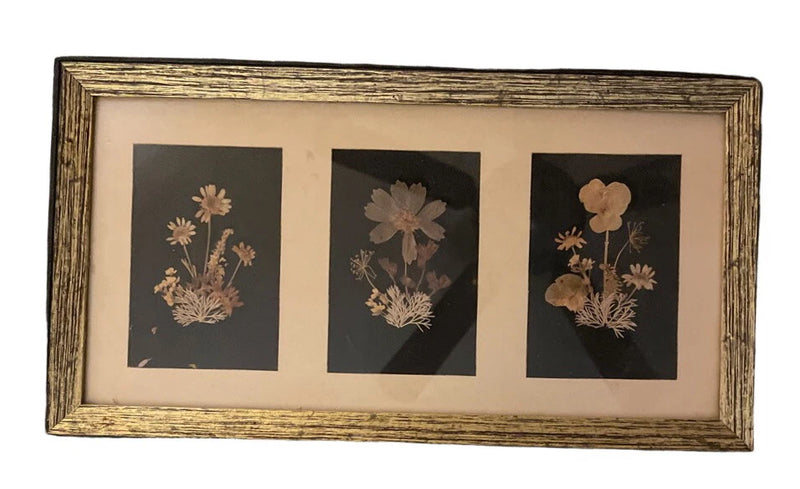 Vintage framed pressed flower wall art with three botanical prints and gold-tone wood frame