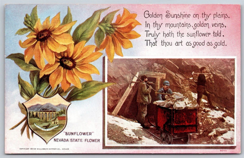 Nevada state flower sunflower postcard with vintage scene and text panels