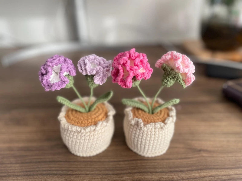 Handmade crochet flower pot decor with two carnations, textured blossoms in pink and purple