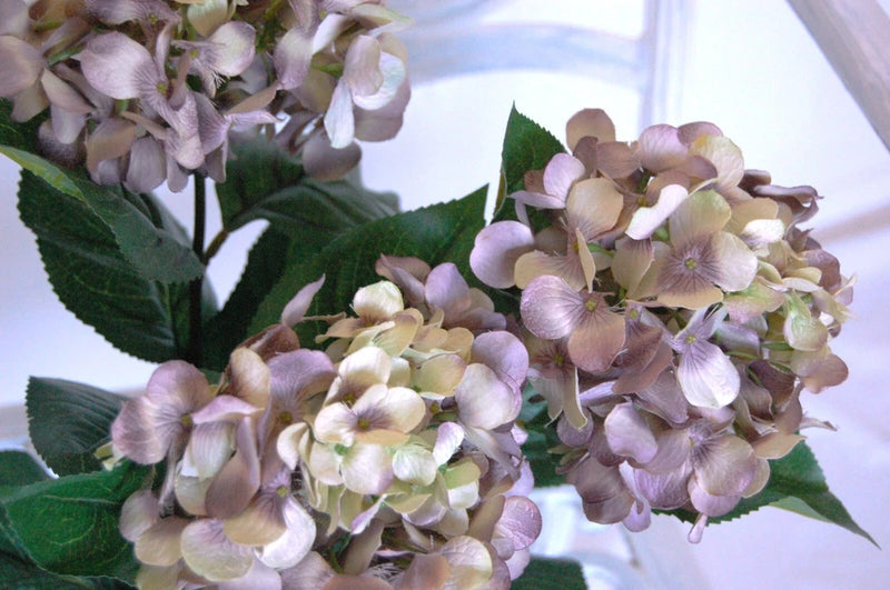 3 Raisin Rum 6" Silk Hydrangeas 12" Floral Stems-JaNice Interiors Hydrangea