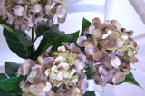 3 Raisin Rum 6" Silk Hydrangeas 12" Floral Stems-JaNice Interiors Hydrangea
