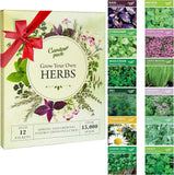 Grow Your Own Herbs Garden Kit - 12 Herb Seeds Variety Pack - Basil, Mint, Rosem Garden Plants