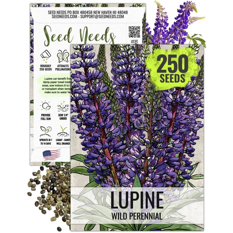 Wild Perennial Lupine Seeds For Planting (Lupinus perennis) Flowering Plants