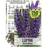 Wild Perennial Lupine Seeds For Planting (Lupinus perennis) Flowering Plants