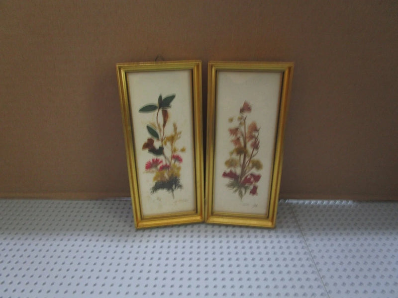 Pair of vintage gold-framed pressed dried flower botanical prints