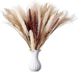 Pampas Decor,Dried Grasses for Decor,Dried Plants,Papas Grass,Pompous Grass... Pampas Grass