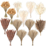 300 PCS Dried Pampas Grass Decor, Dried Flower Bouquets for Wedding, Home, Ce... Dried Flower