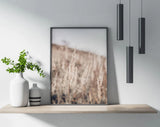 Pampas Grass Field Poster Premium Quality Choose your Size Pampas Grass
