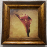 Framed, Crimson Ranunculus, Calla Lilly Quality Picture 11