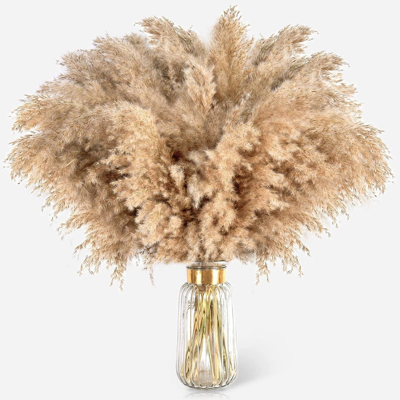 22pcs Pampas Grass Decor-Natural Dried Fluffy Brown Pompas Grass,Short Fluffy... Pampas Grass