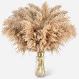 22pcs Pampas Grass Decor-Natural Dried Fluffy Brown Pompas Grass,Short Fluffy... Pampas Grass