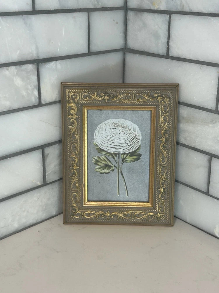 Ranunculus asiaticus Flower in Vintage Gold Etched  5Ó x 3Ó Picture Frame Ranunculus