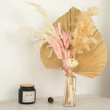 BLUSH 50 Stems 15" Rabbit Tail Dried Natural Pampas Grass SPRAYS Party Events Pampas Grass